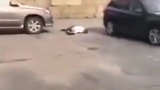 Man falls from the sky.