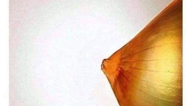 Vegan's Nude