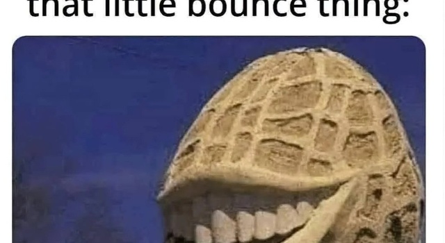 The Nut Is Pleased