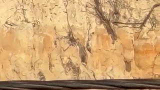 iPhone 17 pro max zoom test