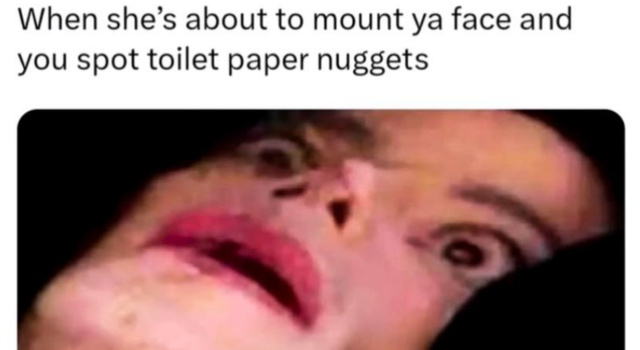 Toilet Nuggets