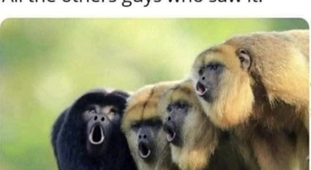 Pain In The Balls