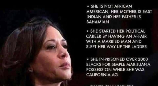 The best and brightest the Dems have to offer.