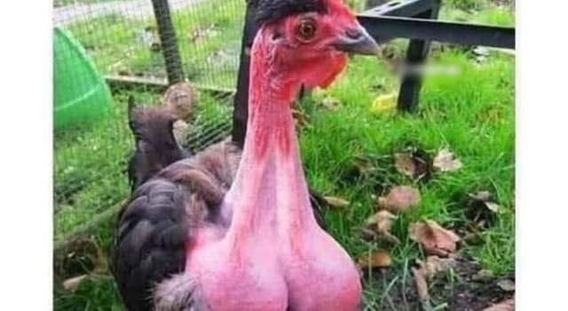 All Shaved For Tonight&rsquo;s Date