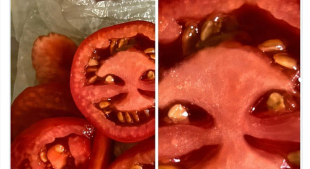 Possessed Tomato