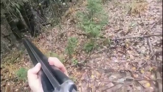 Bear advances on hunter