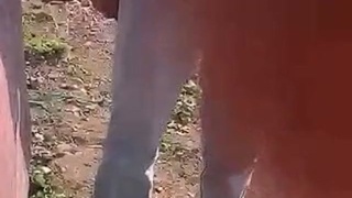 Son records his father's gunned down  over land dispute
