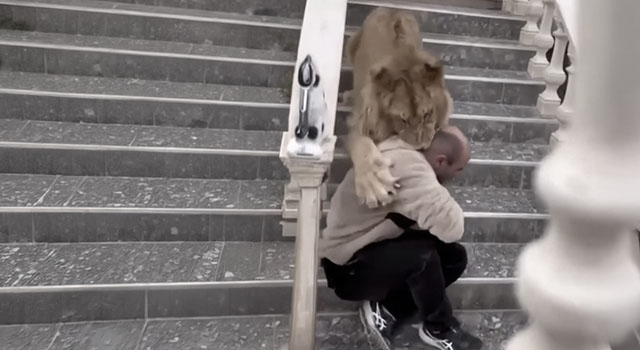 ANIMALS FUCKING HATE US: VOLUME 301