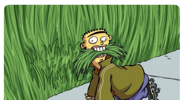Unshaved Jungle