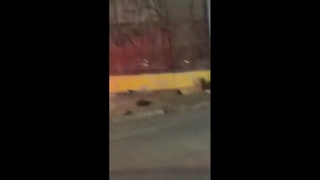 Police Ram Motorcyclist