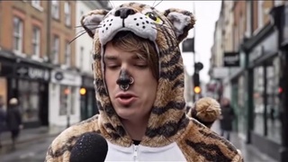 Left And Their Cats