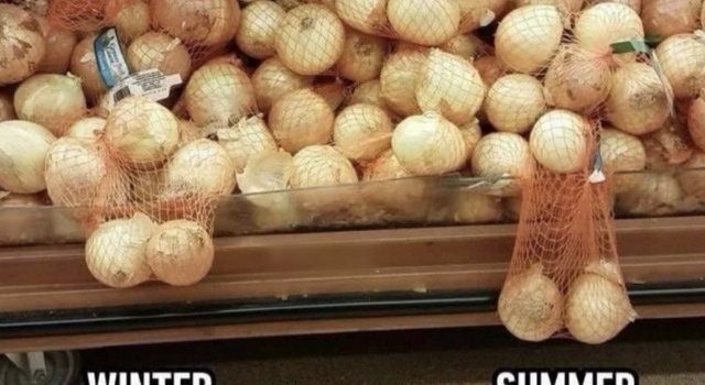 Summer Vs Winter