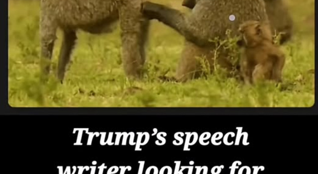How Trump's speeches are written