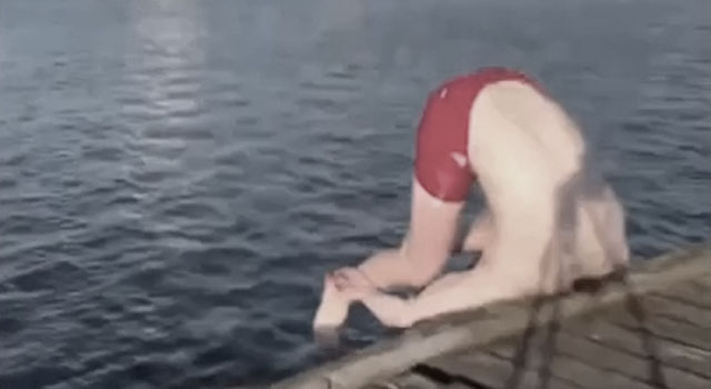 STUPID HUMAN SHIT