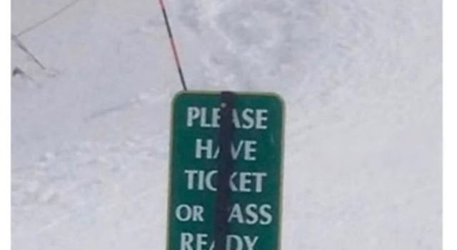 Ticket Or Ass