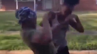 Bitch fight