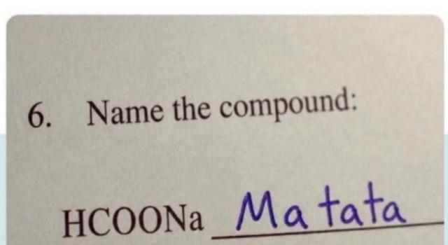 Hakuna Matata