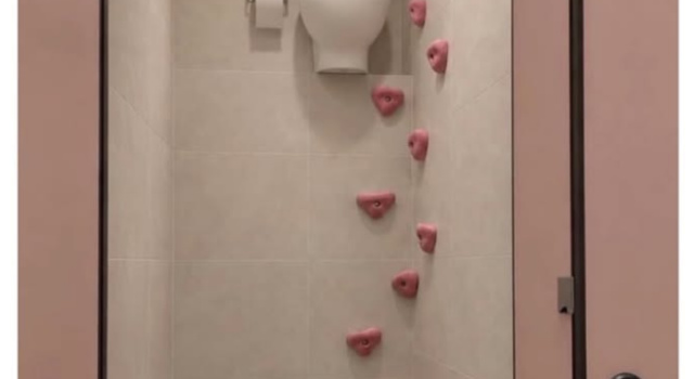 Toilet Emergency