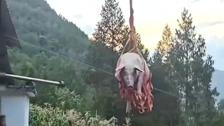 Psh.. when pigs fly!!!