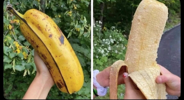The Banana Not To Worry About