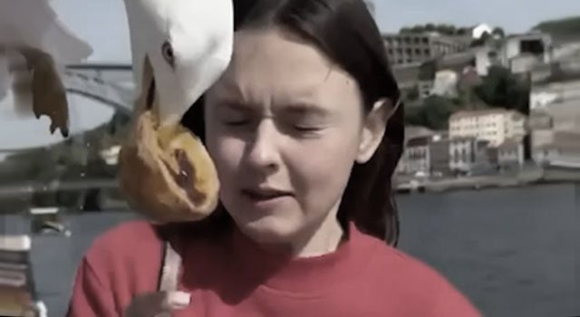 ANIMALS FUCKING HATE US: VOLUME 305