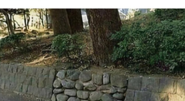 Hidden Tressure