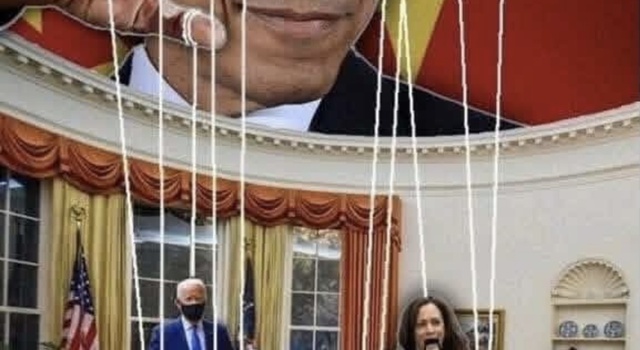Obama wanted a 3rd term