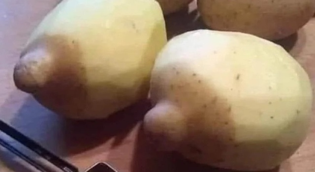 Light Skinned Boobs