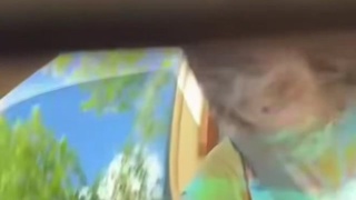Shut Up And Drive