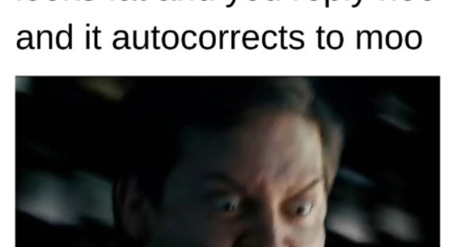 Moo Autocorrect