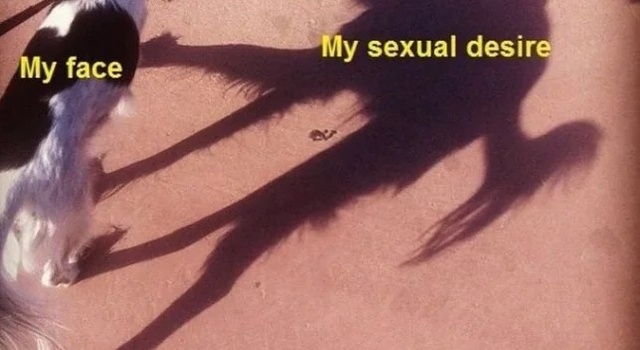 Face Vs Desires