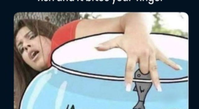Finger Bitting Fish
