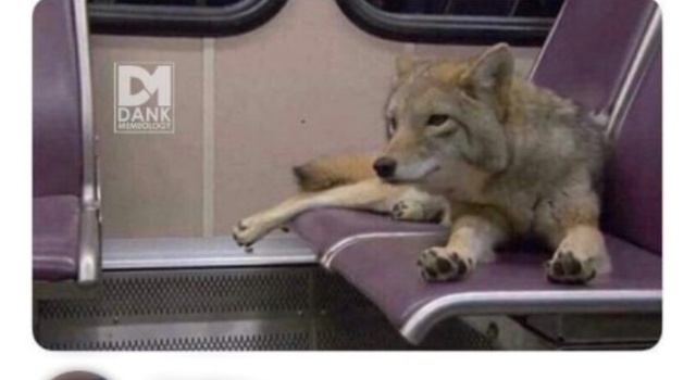 Coyote Bus Trip