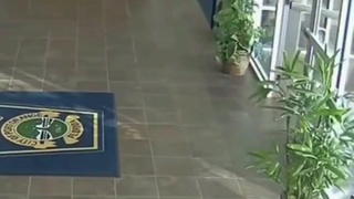 Fafo