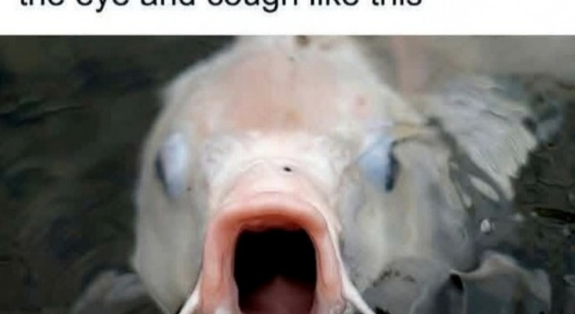 Kids Coughing