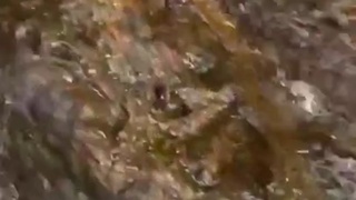 Tourist Dies in Waterfall