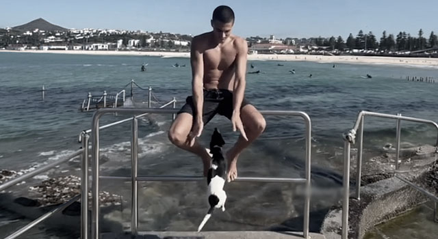 ANIMALS FUCKING HATE US: VOLUME 312