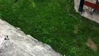 Shitty way to start your day