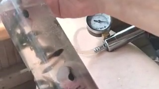 Penis Pump aquarium