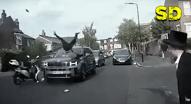 18  PEOPLE DEFINITELY HAVING A SHITTIER DAY THAN YOU