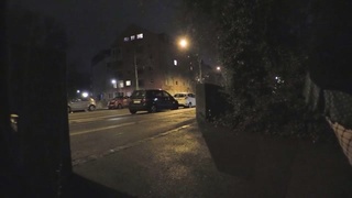 used slut flashing ass and pussy in public
