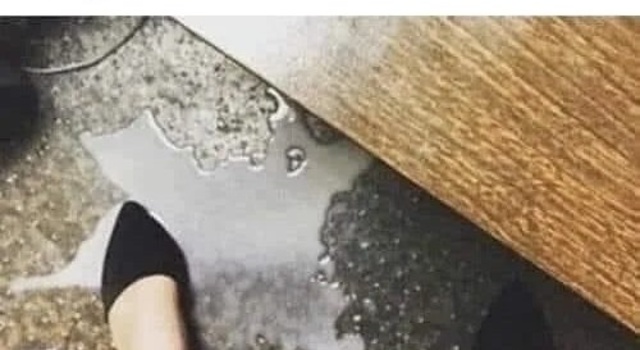 After Creampie Sneeze