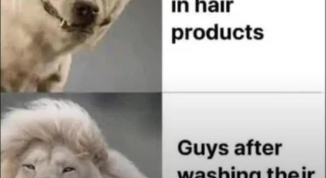 Hair Care