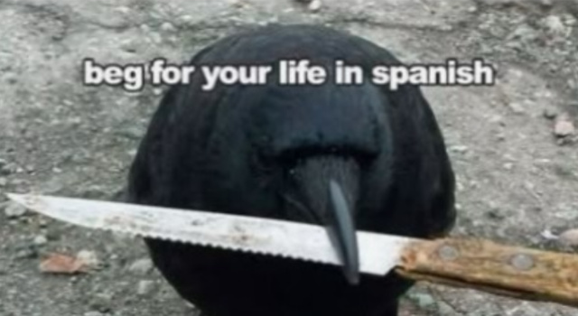 Duolingo Mad