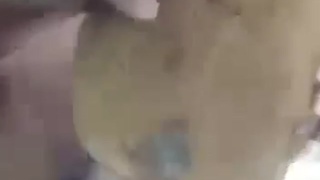 Crazy human shit