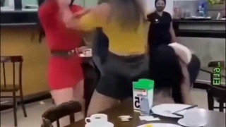 Bitches Be Fighting