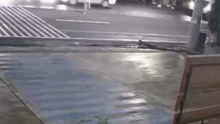 Follow the traffic rules