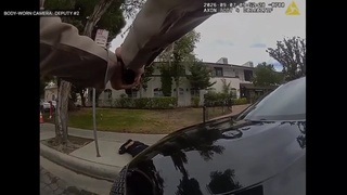 Dramatic footage shows L.A. deputy in shootout with domestic violence suspect