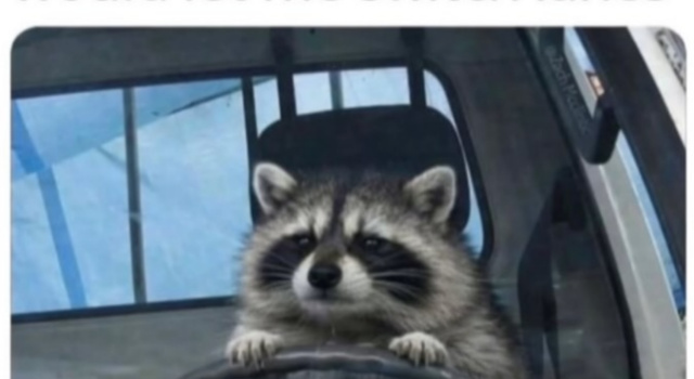 Accepting The New Life