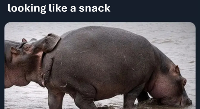 After Shower Snack
